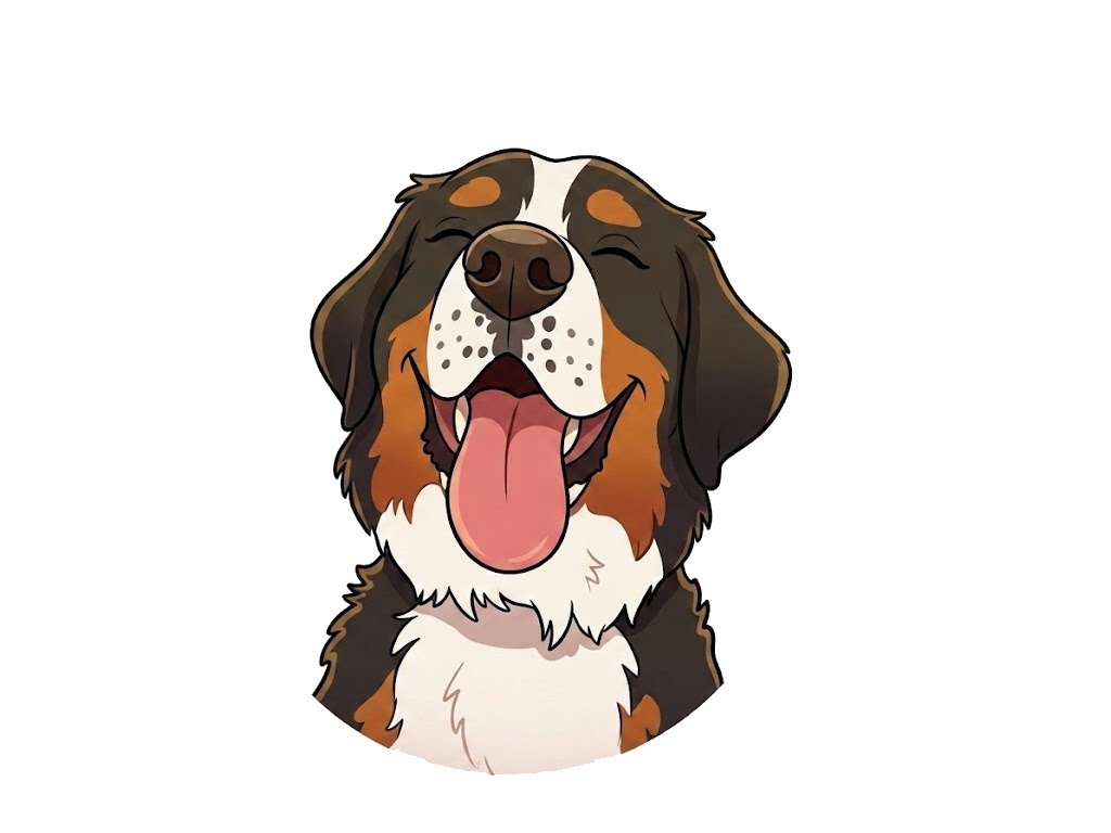 Gillie the Bernese Mountain Dog